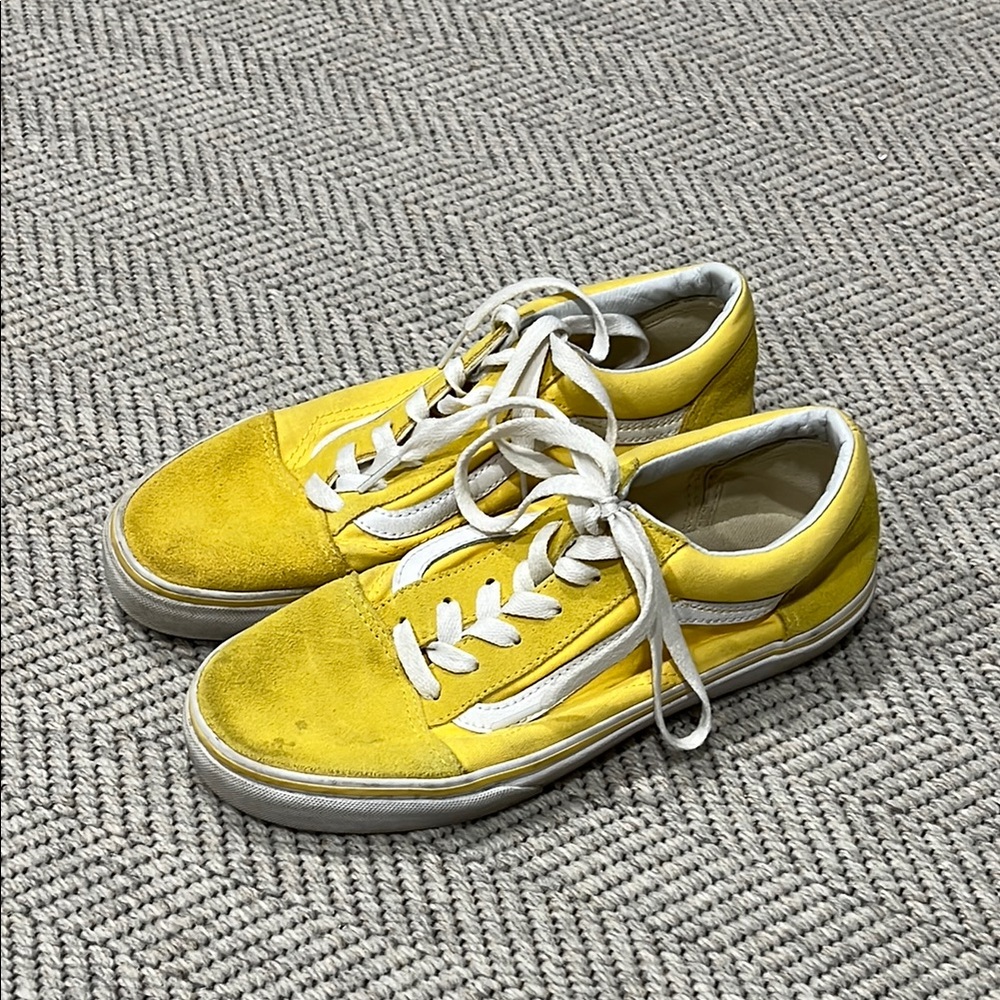 Vans Suede Shoes
